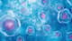 Slider image (9) FirstCell Malaysia for MSC and NK Cell Wellness